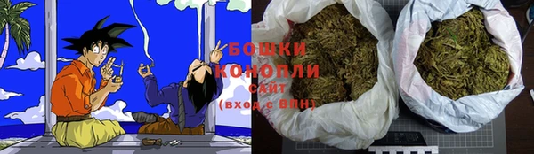 хмурый Арсеньев