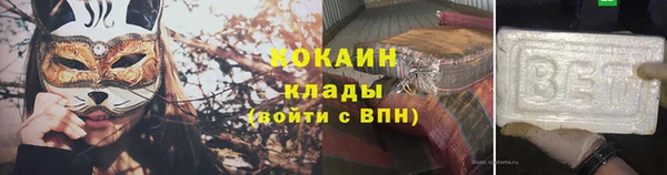 хмурый Арсеньев