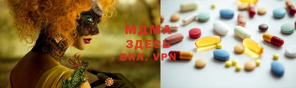 хмурый Арсеньев