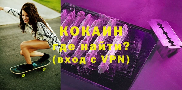 хмурый Арсеньев