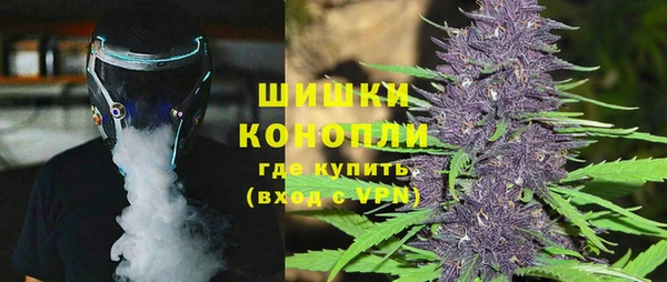 хмурый Арсеньев