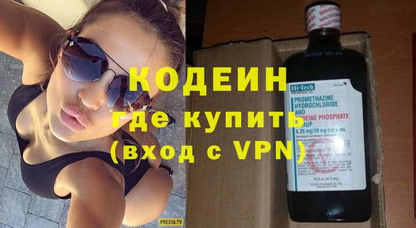 хмурый Арсеньев