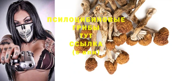 хмурый Арсеньев