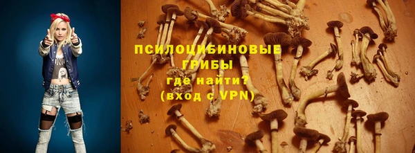 хмурый Арсеньев