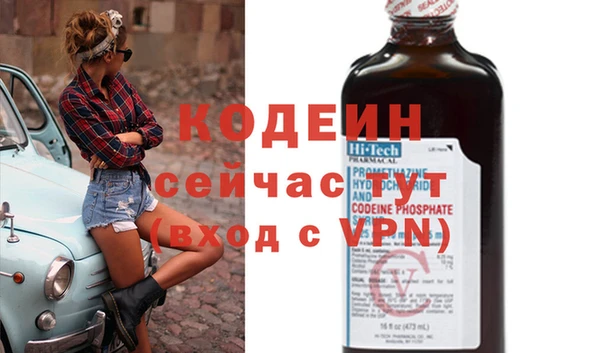 хмурый Арсеньев