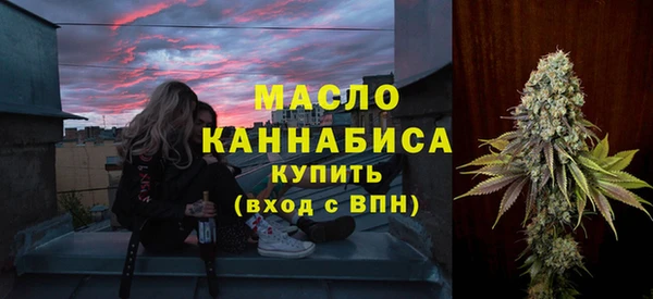 хмурый Арсеньев