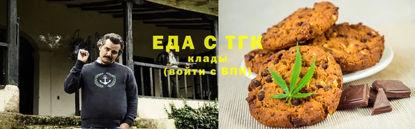 хмурый Арсеньев
