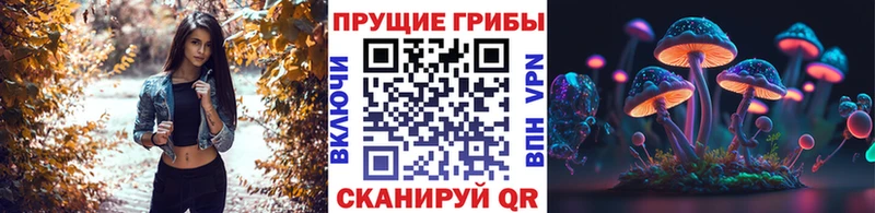Псилоцибиновые грибы Magic Shrooms  Черемхово 